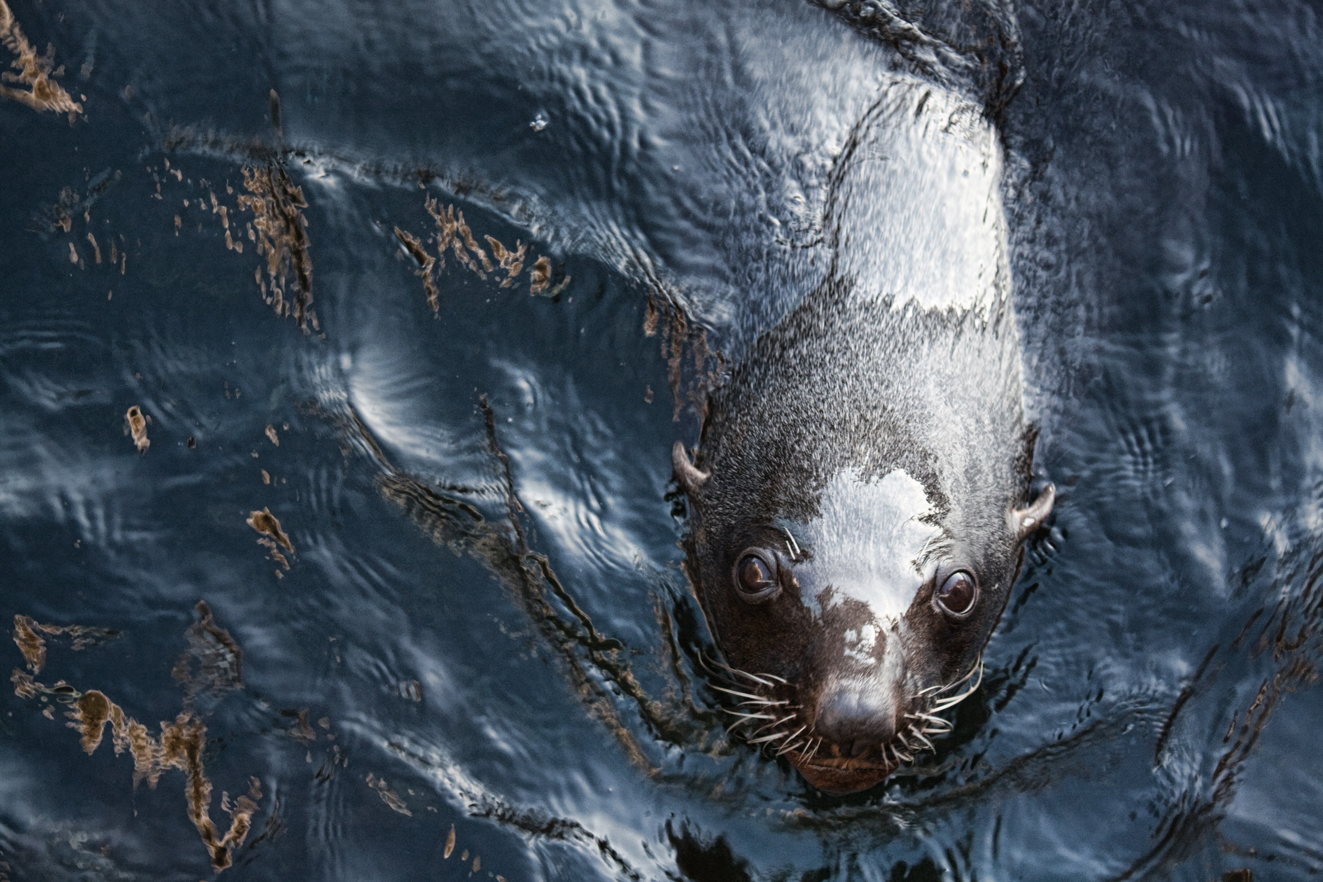 What are you looking at